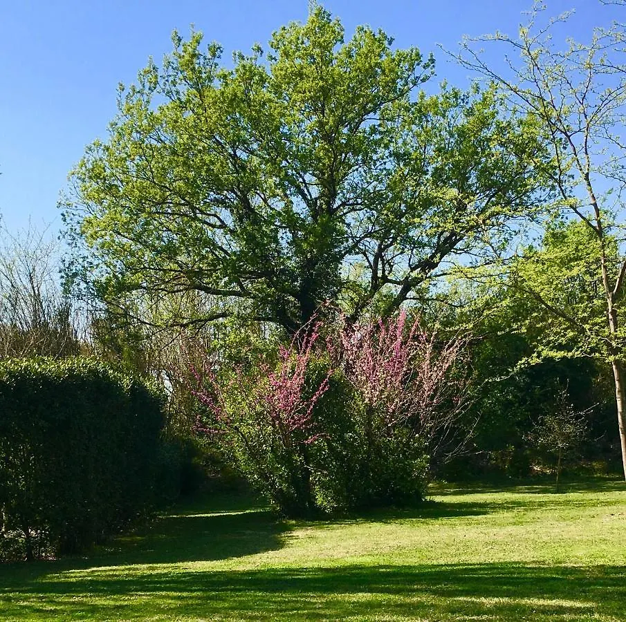Maison d'hôtes Campagne-Baudeloup LʼIsle-sur-la-Sorgue