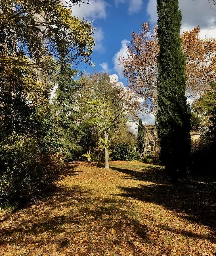 Bed & Breakfast Bed and Breakfast Campagne Baudeloup LʼIsle-sur-la-Sorgue